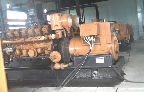 山東高唐（táng）沼氣發電項目