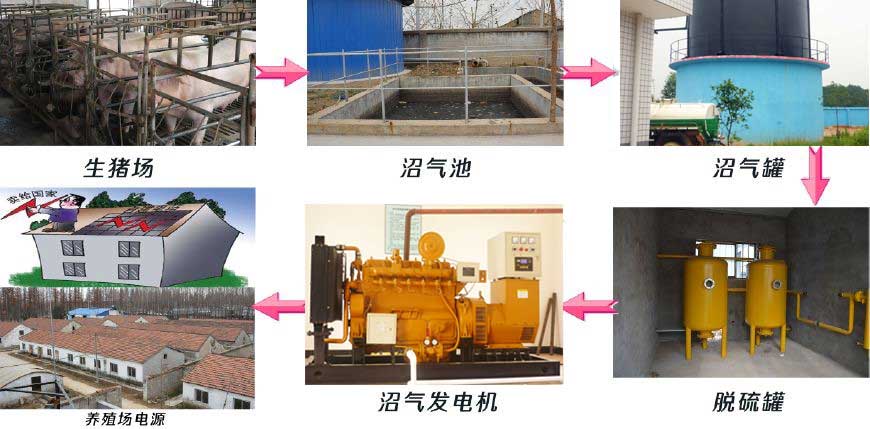 養豬場(chǎng)該選擇多大(dà)功(gōng)率的沼氣發電機組