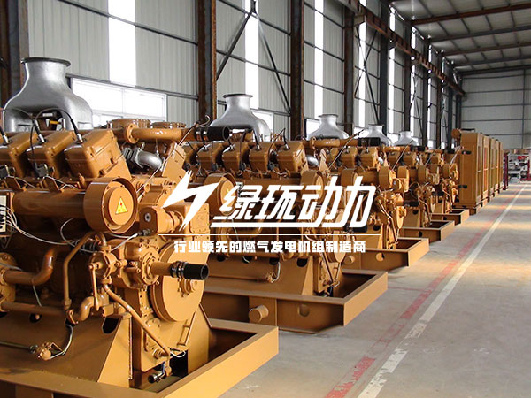 有機廢水沼（zhǎo）氣發電機組