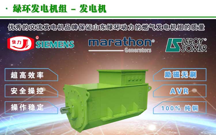 有機廢水（shuǐ）沼氣發電機組