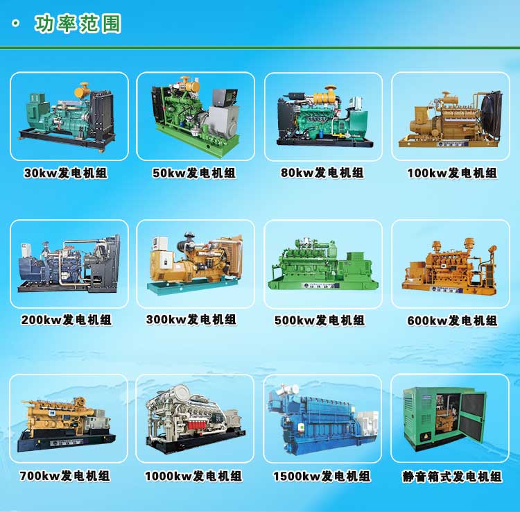 有機廢水沼氣發電機組
